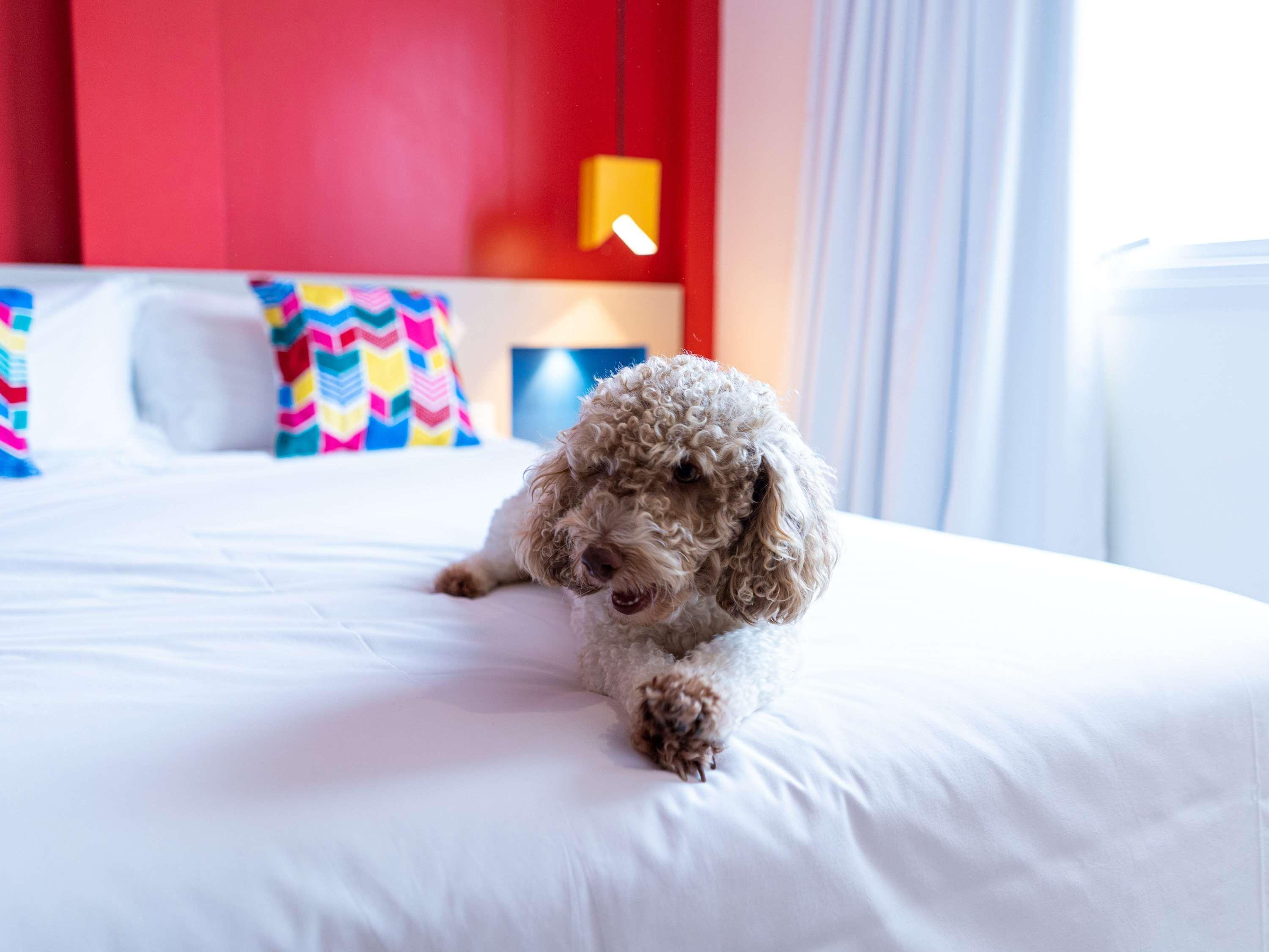Ibis Styles Campina Grande Hotel ภายนอก รูปภาพ