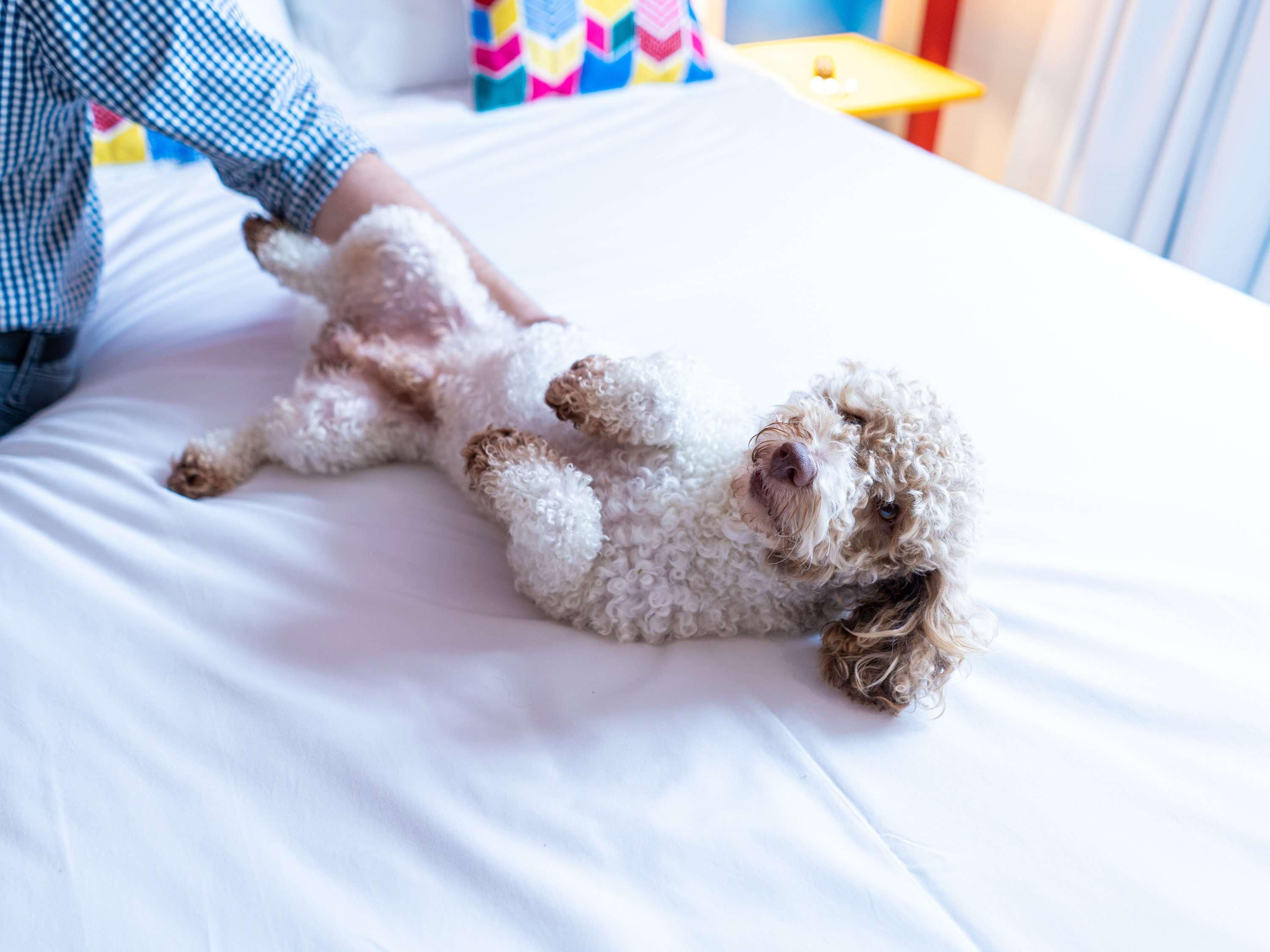 Ibis Styles Campina Grande Hotel ภายนอก รูปภาพ